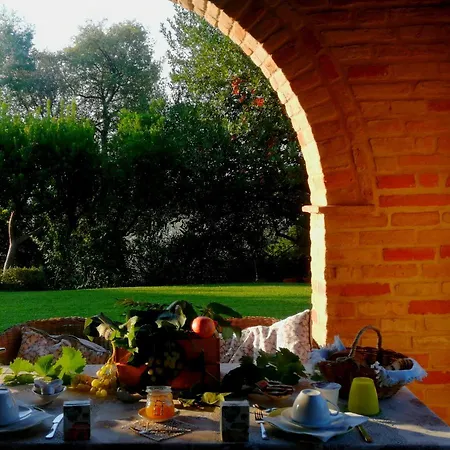 B&B La Casa tra gli Ulivi-3