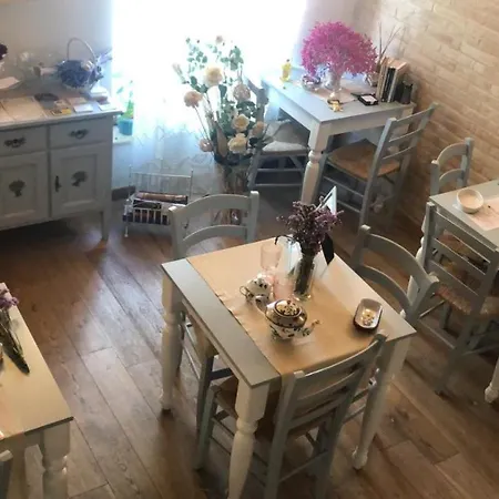 B&B Domar-3