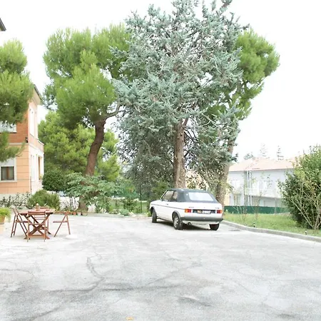 Pino Marittimo-3