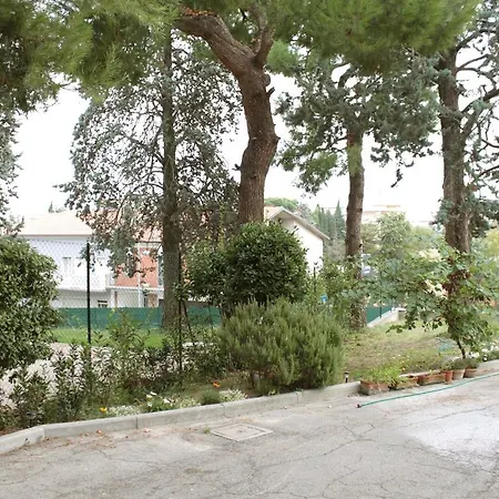 Pino Marittimo-2